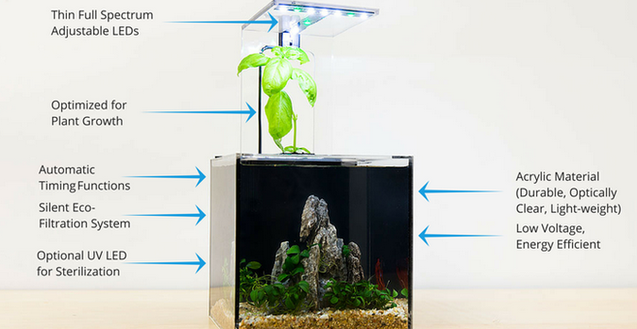 懶人養魚必備 永遠不需要換水的生態魚缸-磐眾科技(廣州)有限公司